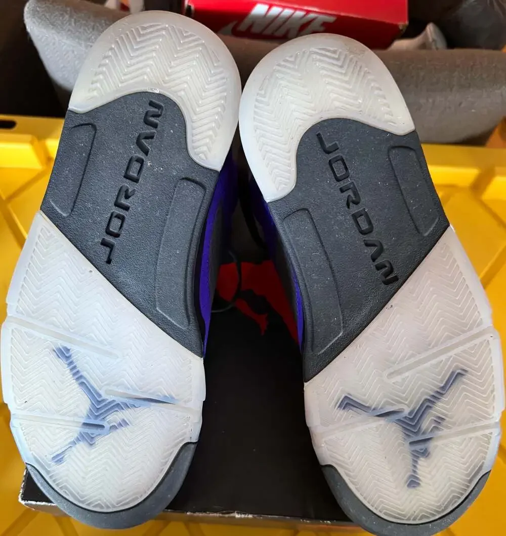 Air Jordan 5 Retro Alternate Grape